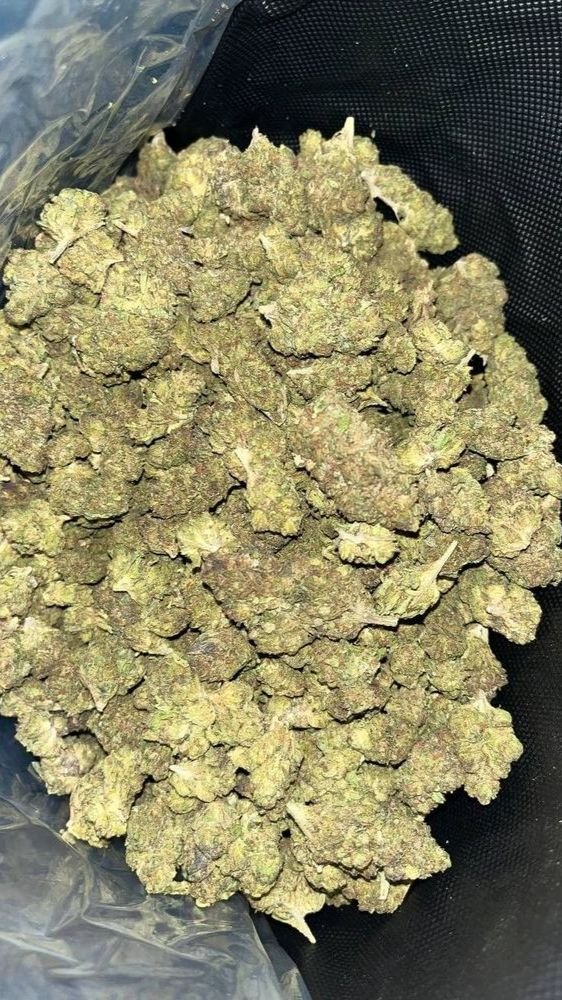 Gorilla Glue