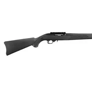 Ruger 10/22
