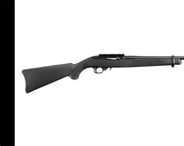 Ruger 10/22